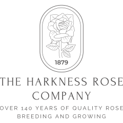 The Harkness Rose Company